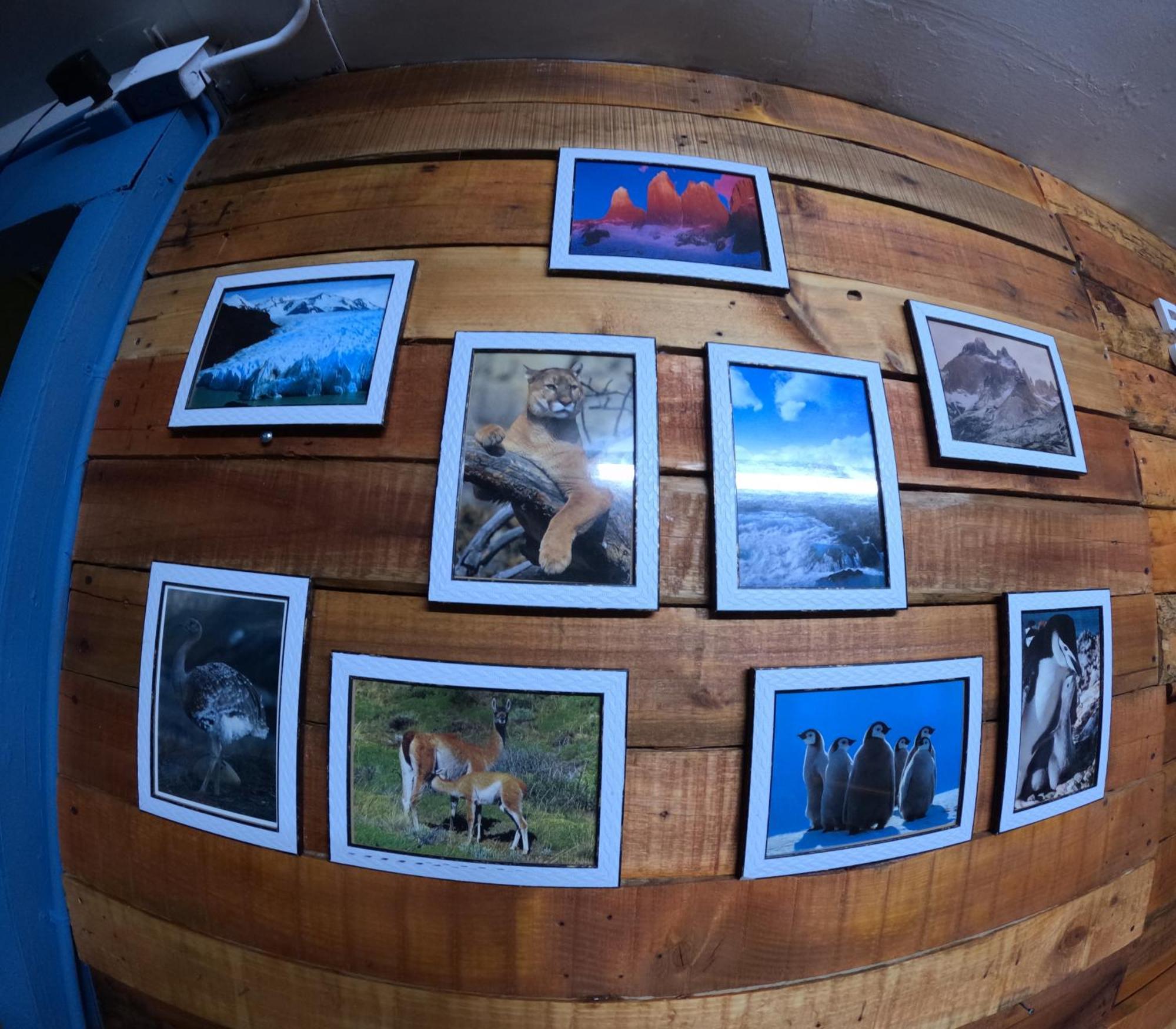 Hostel 53 Sur Puerto Natales Dış mekan fotoğraf